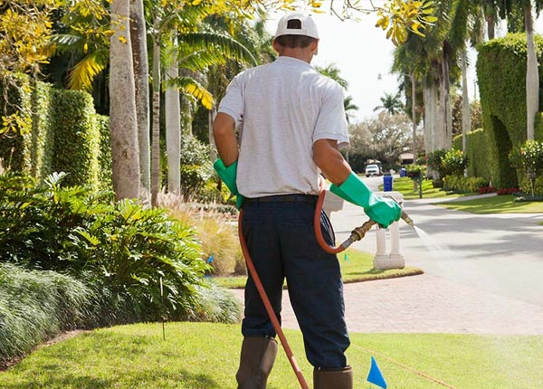 About Salfordville PA Pest Control Pros